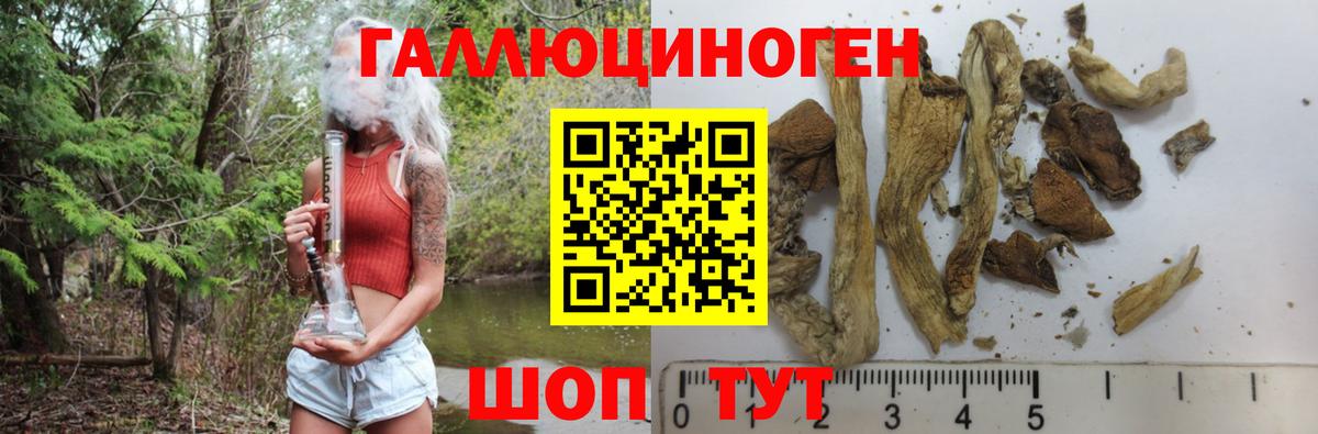 Псилоцибиновые грибы MAGIC MUSHROOMS  Псилоцибиновые грибы GOLDEN TEACHER  Дятьково  Вход с VPN 